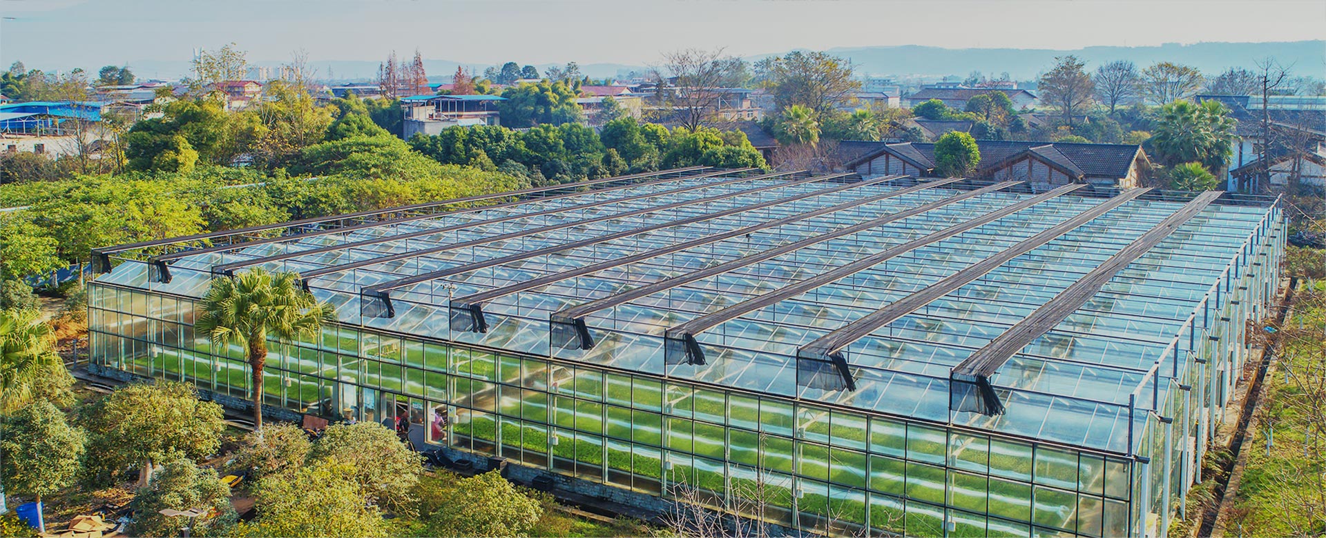 農副產(chǎn)品生產(chǎn)、加工、銷(xiāo)售、“三產(chǎn)”服務(wù)、園林綠化